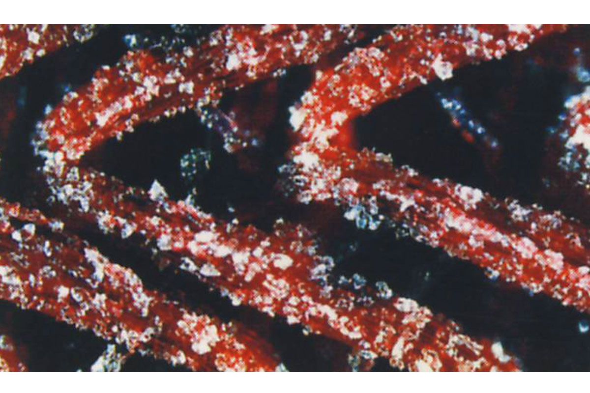 Rupes X-Cut P1500 Ø75mm 20pk